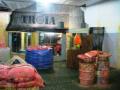 __wf__arquivos/imagens/p1050150.jpg