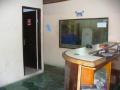 __wf__arquivos/imagens/p1050156_1.jpg