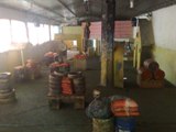 __wf__arquivos/imagens/campo.jpg